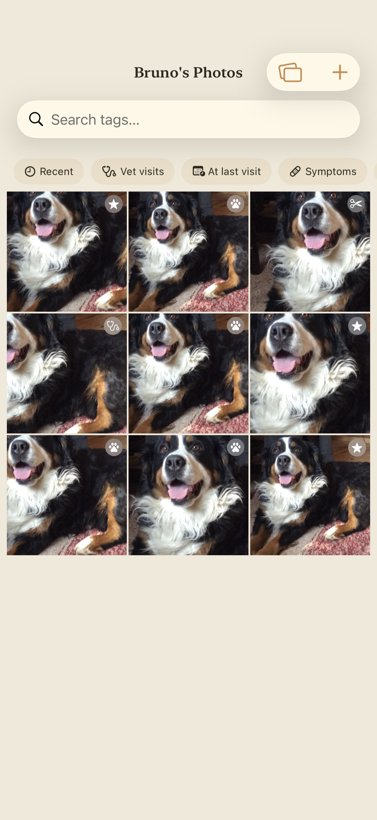 Pawza searchable photo gallery with tagged photos of a pet in one organized place